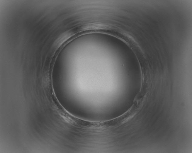 X0000051861073200506241315