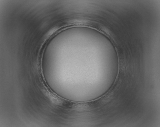 X0000051861074200506241315