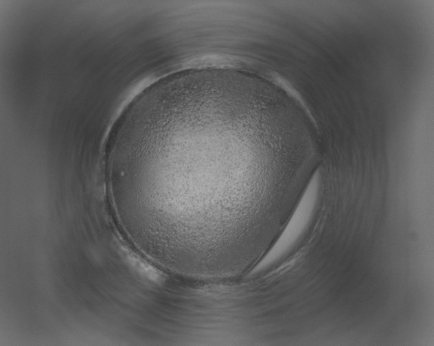 X0000051861075200506241315