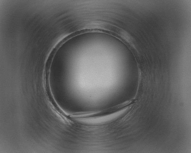 X0000051861076200506241315