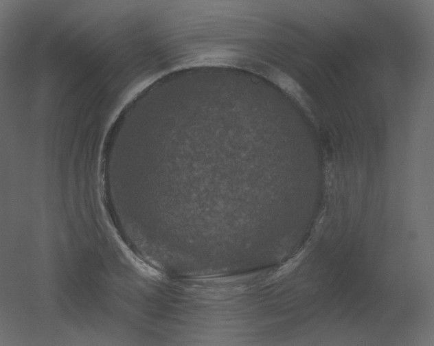 X0000051861077200506241315