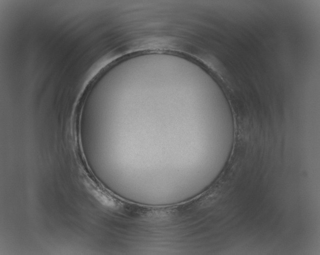 X0000051861078200506241315