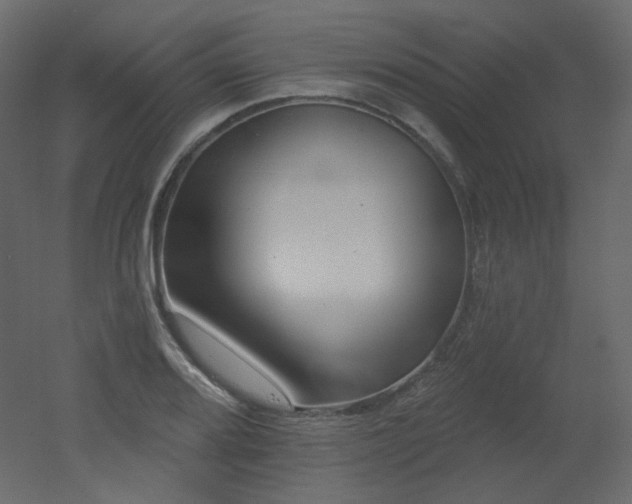 X0000051861080200506241315