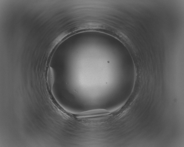 X0000051861081200506241315