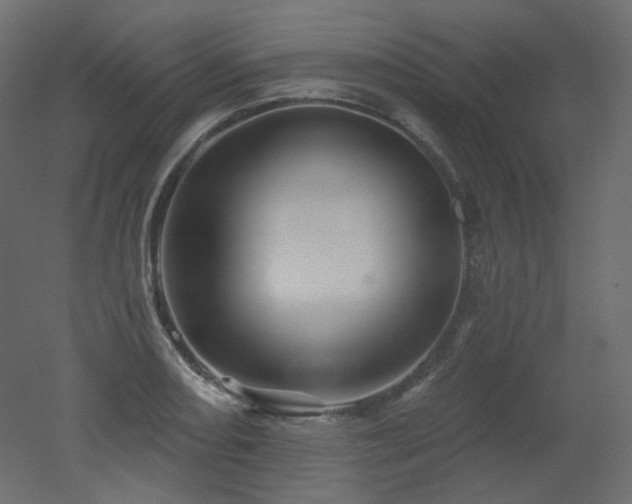 X0000051861082200506241315