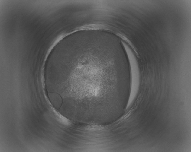 X0000051861083200506241315