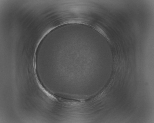 X0000051861084200506241315