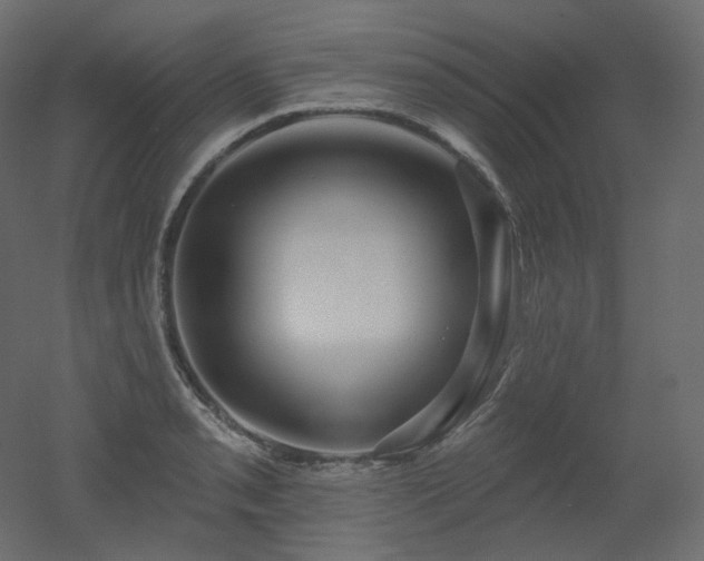 X0000051861085200506241315