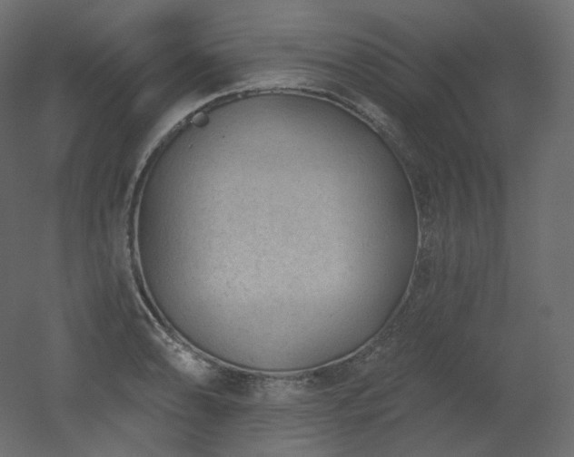 X0000051861086200506241315