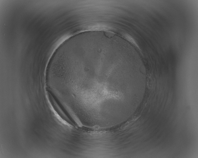 X0000051861087200506241315