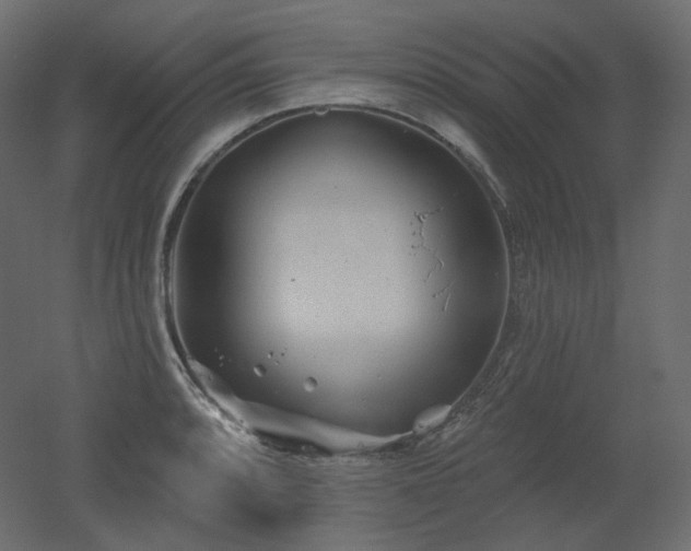 X0000051861088200506241314