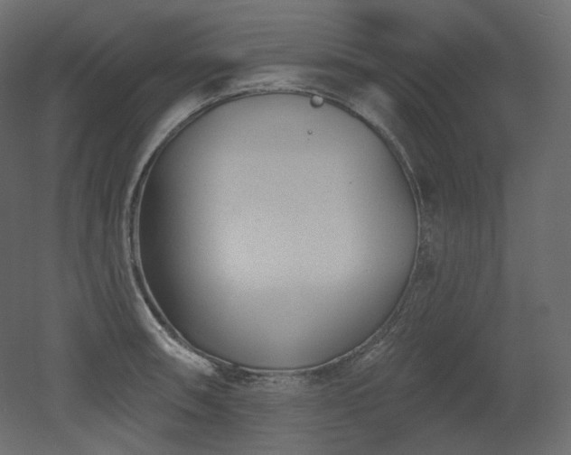 X0000051861090200506241314