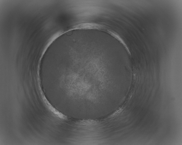 X0000051861091200506241314