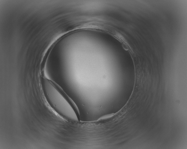 X0000051861092200506241314