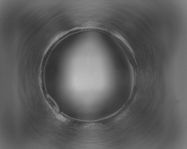 X0000051861093200506241314