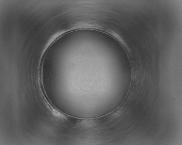 X0000051861094200506241314