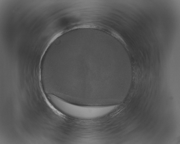 X0000051861095200506241314