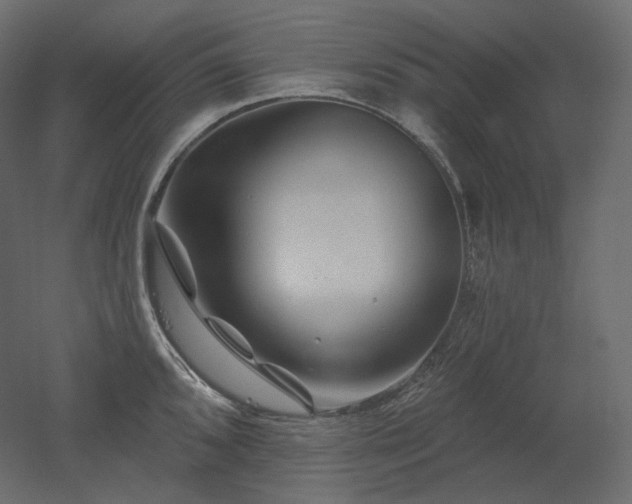 X0000051861096200506241314