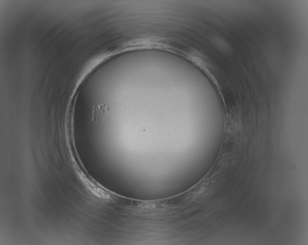 X0000051861098200506241314