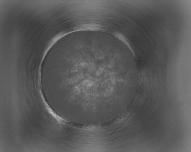 X0000051861099200506241314