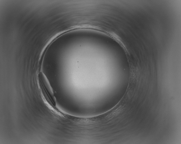 X0000051861100200506241314