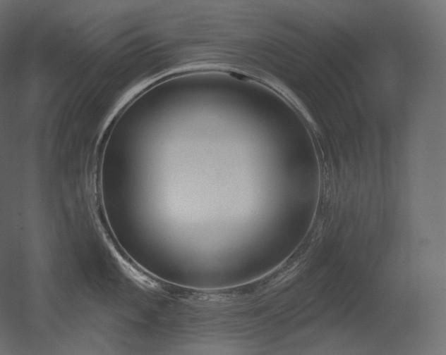 X0000051861101200506241314