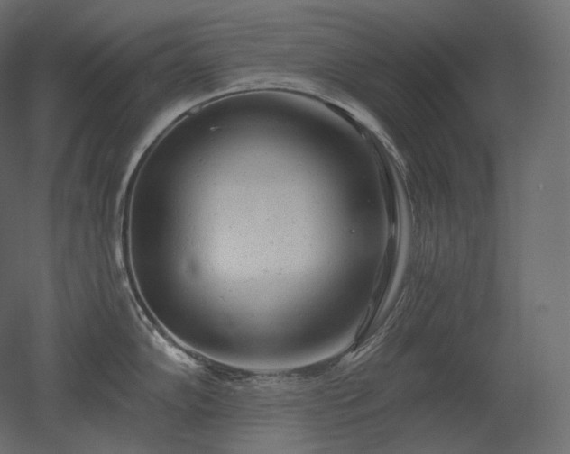 X0000051861102200506241314