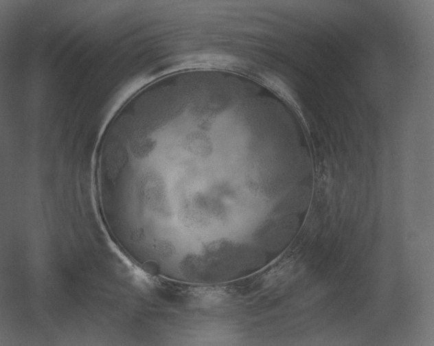 X0000051861103200506241314