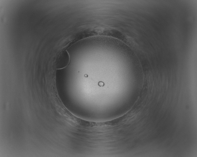 X0000051861105200506241313