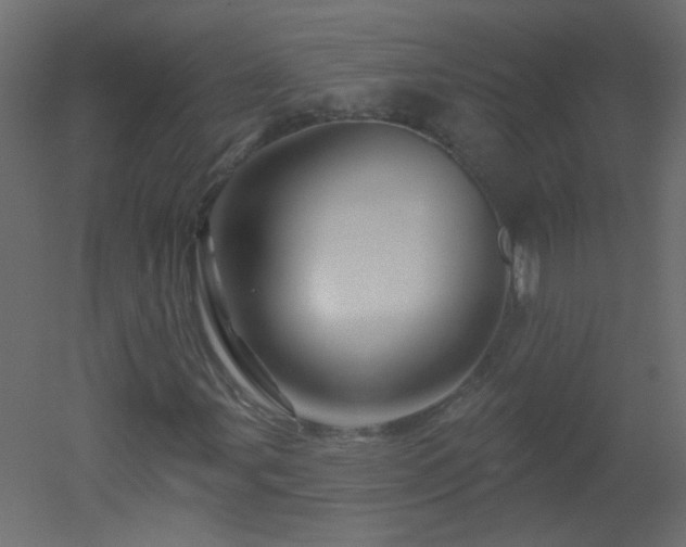 X0000051861107200506241313