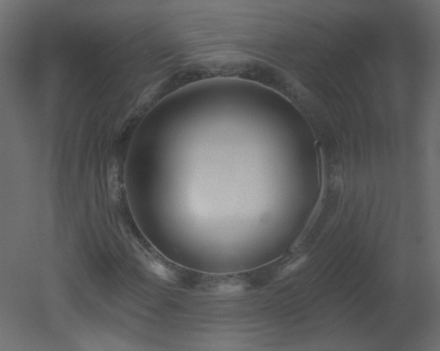 X0000051861108200506241313