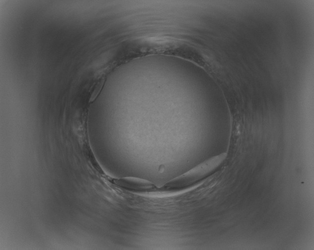 X0000051861109200506241313