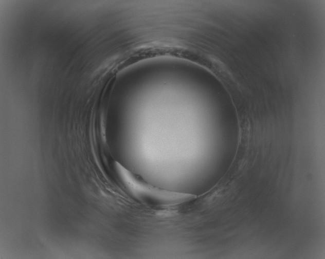 X0000051861110200506241313