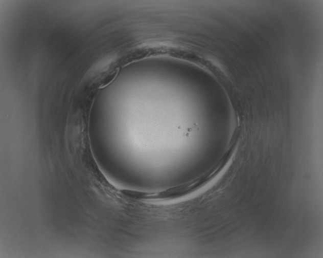 X0000051861111200506241314