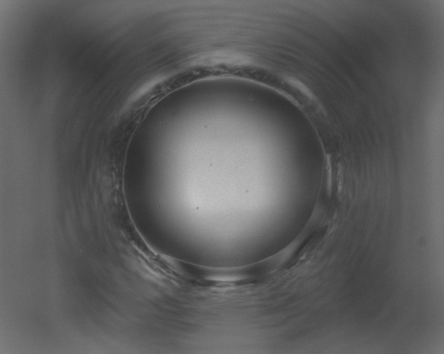 X0000051861112200506241314