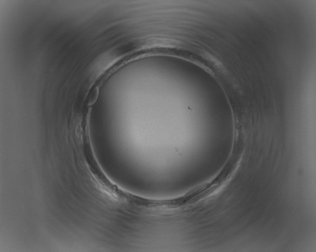 X0000051861113200506241314