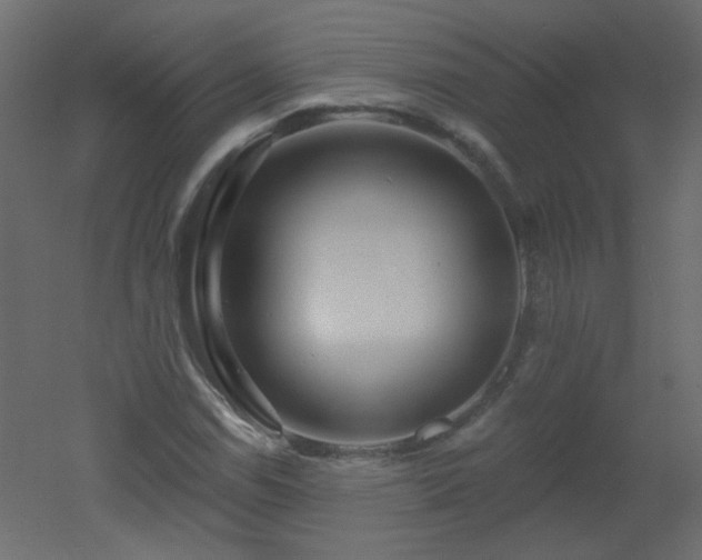 X0000051861114200506241314