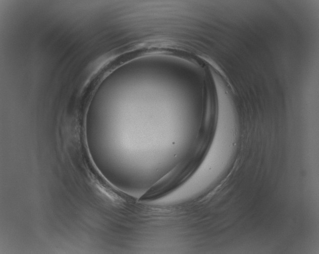 X0000051861115200506241314