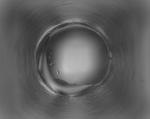 X0000051861116200506241314