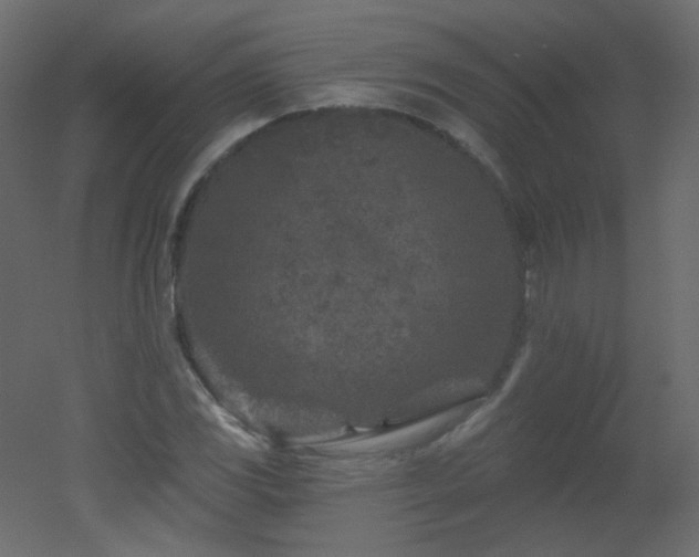 X0000051861117200506241314