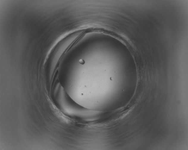 X0000051861118200506241314