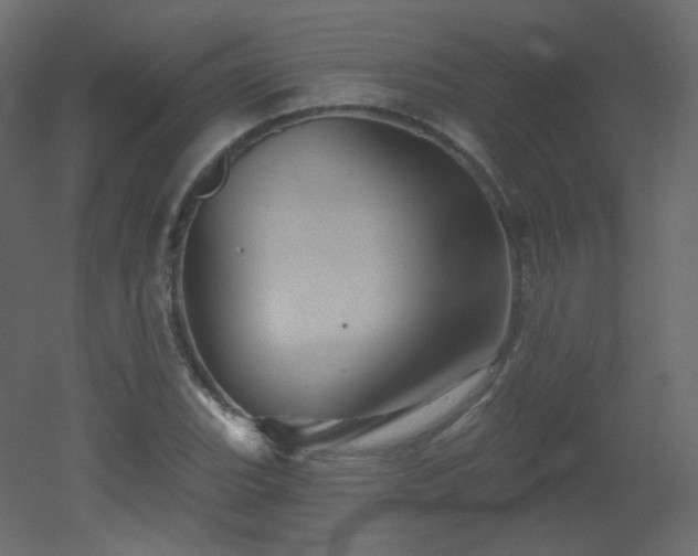 X0000051861119200506241314