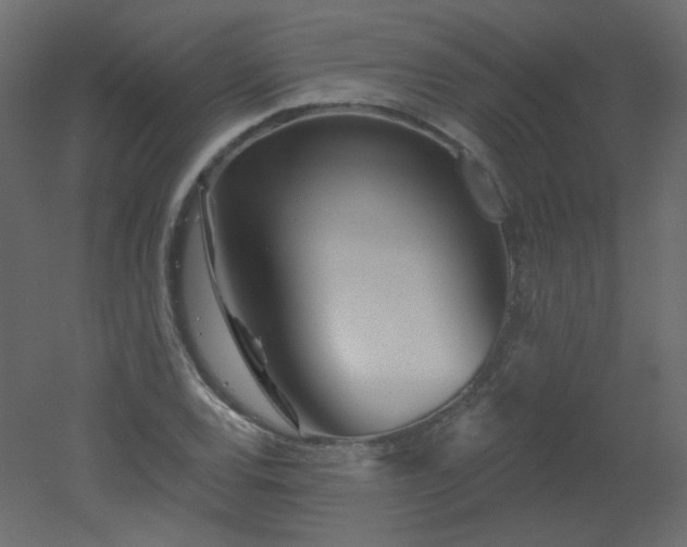 X0000051861120200506241314