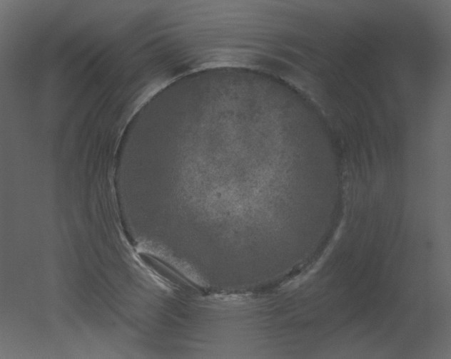 X0000051861121200506241314