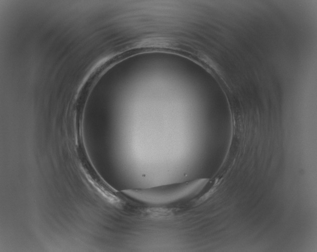 X0000051861123200506241314