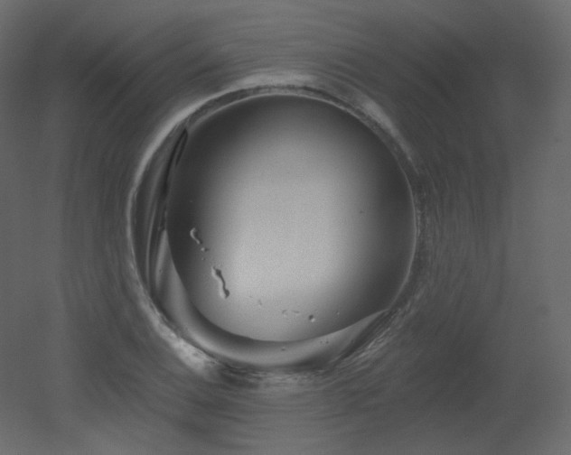 X0000051861124200506241314