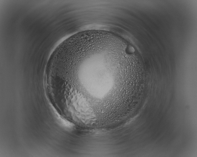 X0000051861125200506241314