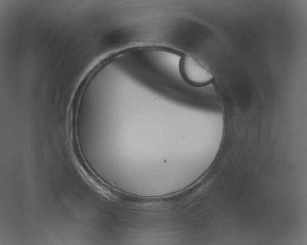 X0000051861126200506241314