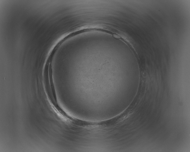 X0000051861127200506241314