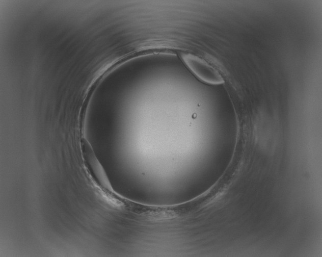 X0000051861129200506241314